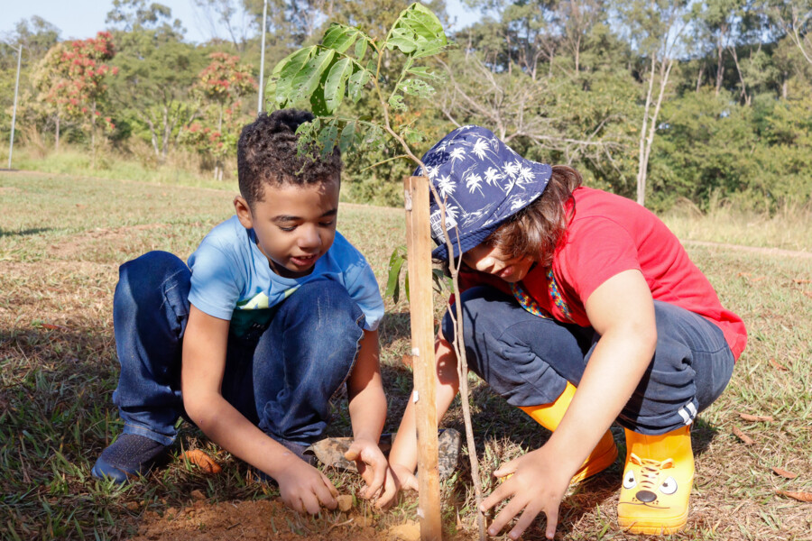 pacientes-do-crer-participam-de-acao-sustentavel-com-plantio-de-mudas-tipicas-do-cerrado